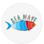 sea.wave.kz_